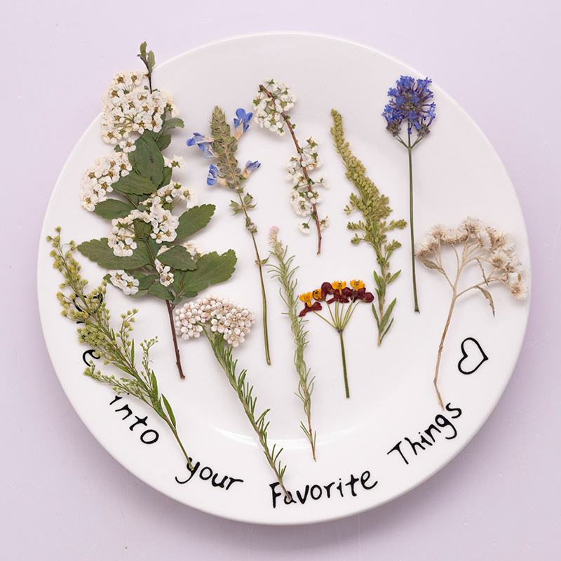 Dried Flower Bookmark - 500 Adet Büyük Paket Fern Preslenmiş