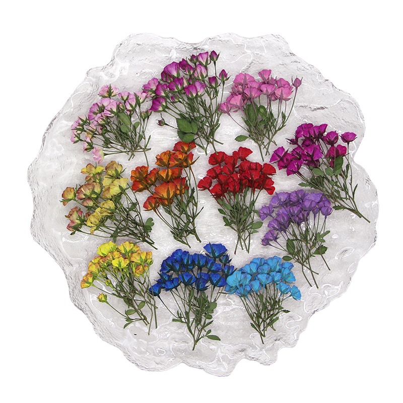 36X preslenmiş kurutulmuş çok  - Dried Flower Bookmark incelemesi ve fiyatı